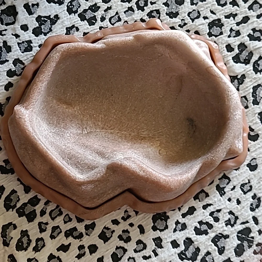 Reptile combo food/water dish. by ZOO MED size Large